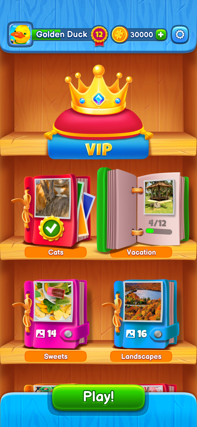 Jigsaw Puzzle Collection Art