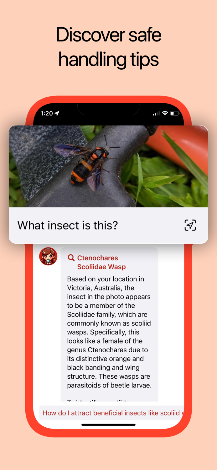 Insect Identifier AI Scanner