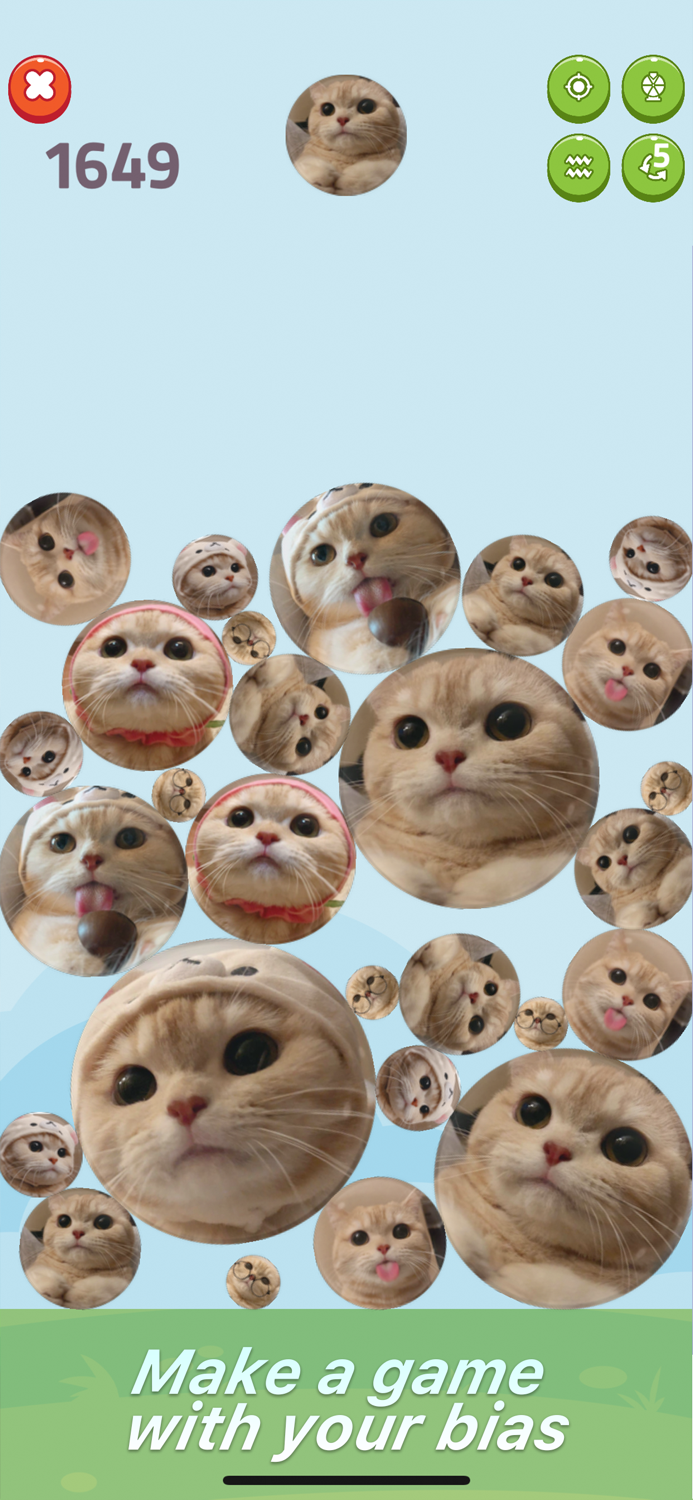 Watermelon Game with Customize