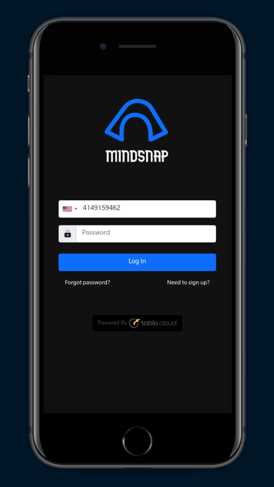 MINDSNAP.AI Screenshot