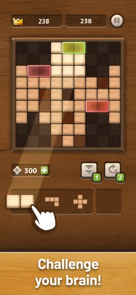 Game screenshot Woodblock Sudoku apk