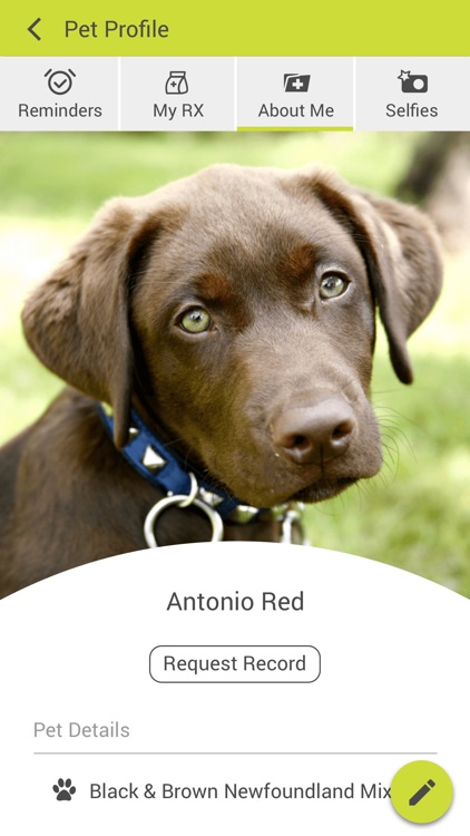 Sherbrooke Heights Animal Hosp