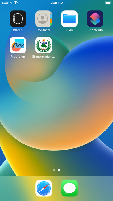 Ethiopian International School Screenshot