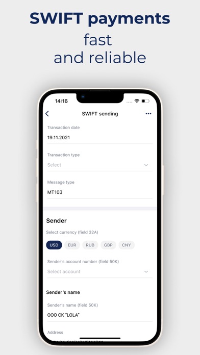 InfinBusiness Screenshot