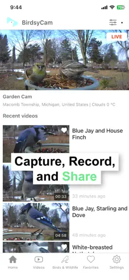 Game screenshot BirdsyCam apk