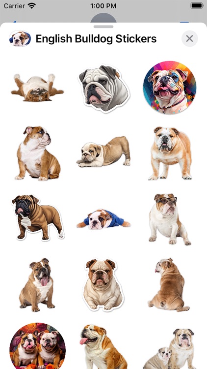 English Bulldog Stickers