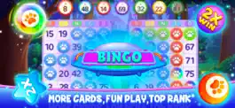 Game screenshot Bingo Wild - Fun Animal Bingo mod apk