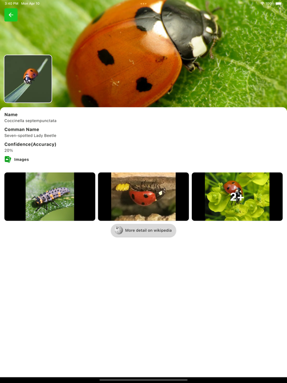 Screenshot #6 pour Bug Identifier - Insect Finder