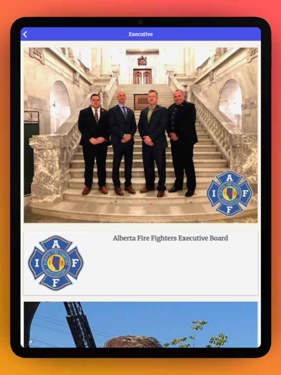 Screenshot #5 pour APFFPA