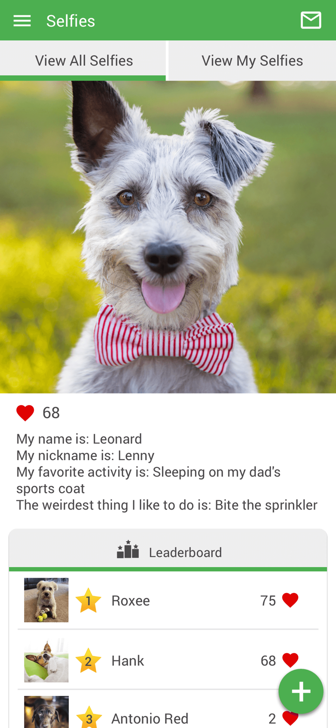 All Creatures in Puyallup