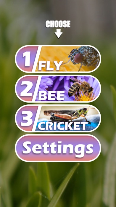 Insect sounds(fly,bee,cricket) Screenshot