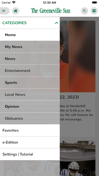 The Greeneville Sun Screenshot