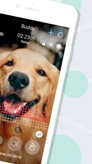 dog monitor buddy & pet cam iphone screenshot 2