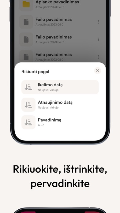 Buhalterės.lt Screenshot