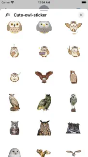 owl cute sticker iphone screenshot 2