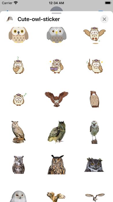 owl Cute sticker Screenshot