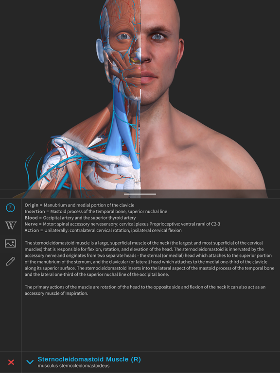 Screenshot #5 pour Visual Anatomy 3D - Human