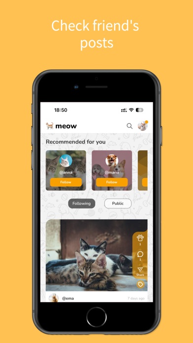 Petigo - Connecting pet lovers Screenshot