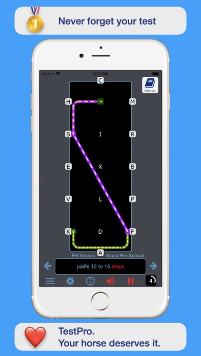 FEI Dressage Screenshot