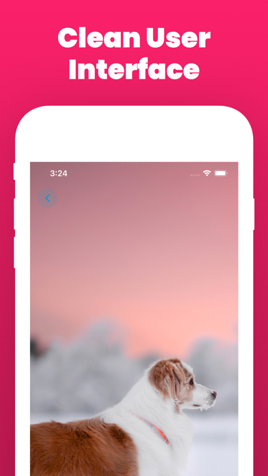 Dog Wallpaper and Backgrounds Screenshot