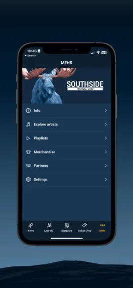 Game screenshot Southside Festival hack