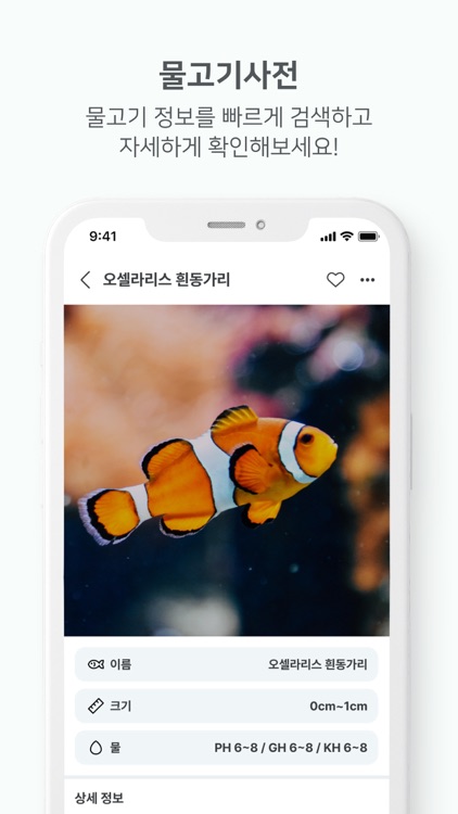 관심 - 관상어에 진심 screenshot-3