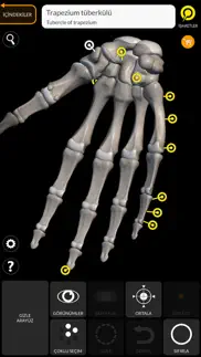 İskelet 3d anatomisi iphone resimleri 4