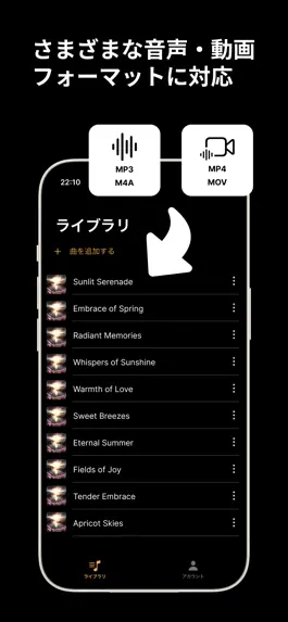 Game screenshot KARAOKE BOY-カラオケアプリ- hack