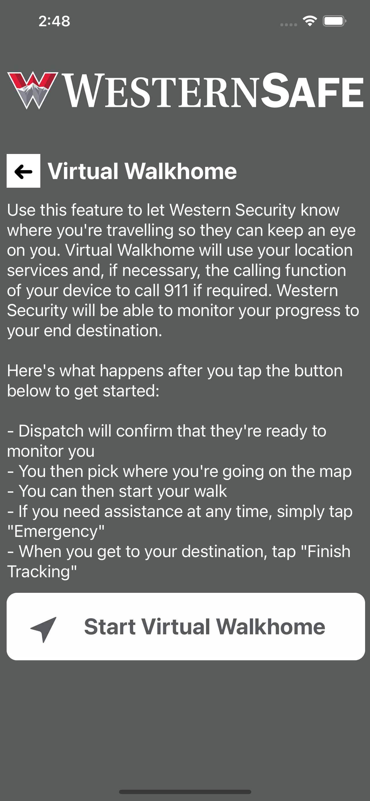 Western Safe