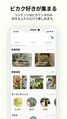 Game screenshot ビカクライフ apk