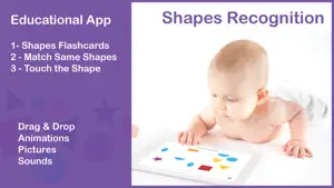 Shapes Flashcards & Activities screenshot 3