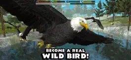 Game screenshot Ultimate Bird Simulator mod apk