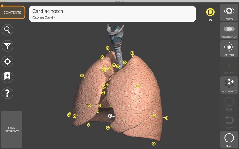 Anatomy 3D Atlas Screenshot