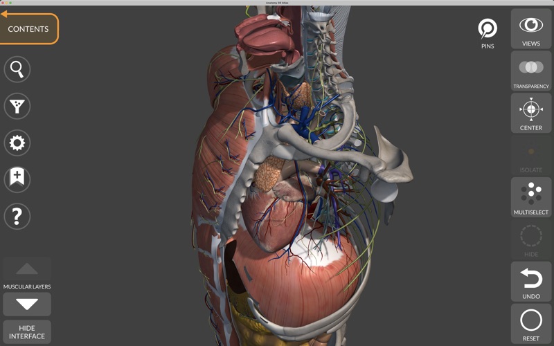 Anatomy 3D Atlas Screenshot
