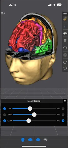 Game screenshot Brain Tutor 3D mod apk