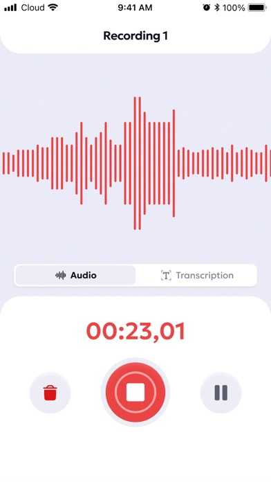 Voice Recorder: Audio Memos Screenshot