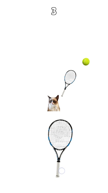 Cat Playing Tennis