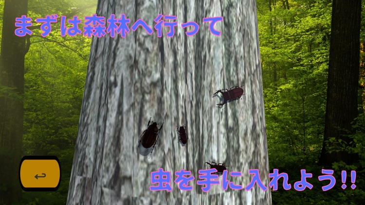 カブトムシ、クワガタムシ ー ずっと夏休み