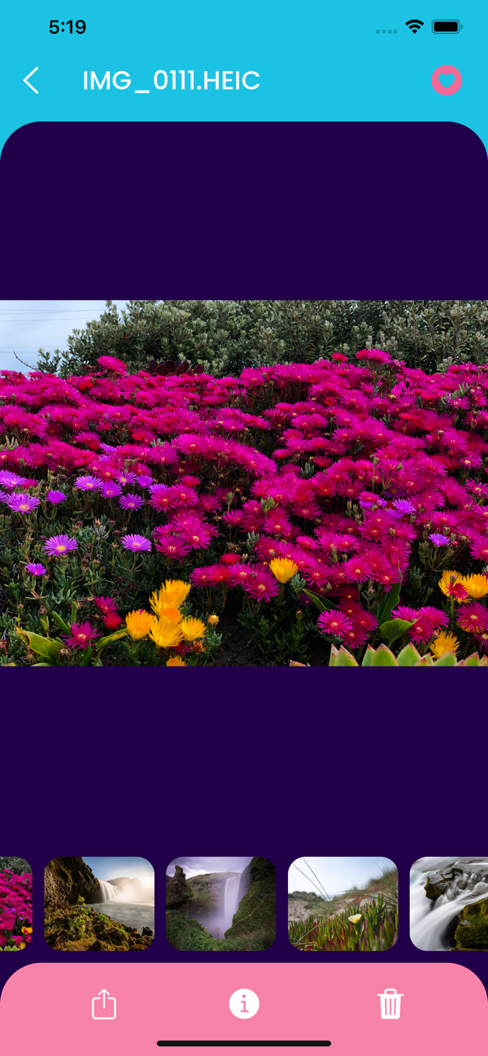 Collage with Gallery