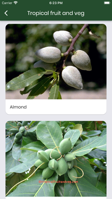 Terrace Plants Screenshot