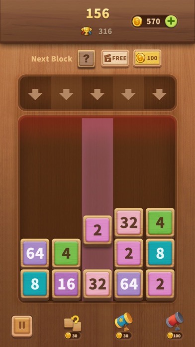 Wood Puzzledom Collection game Screenshot