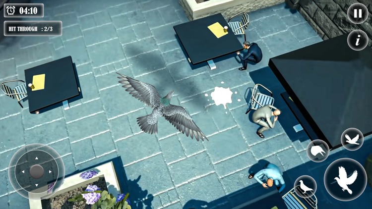 Pigeon Bird Flight Simulator