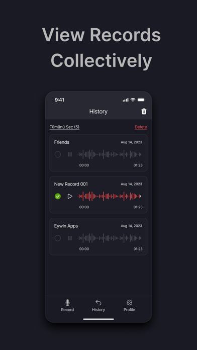 Grooz Voice Recorder Screenshot