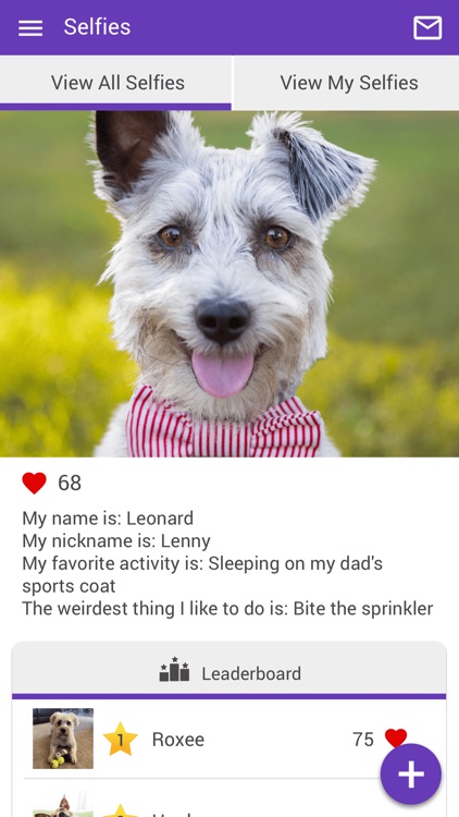 Sale Creek Vet Services screenshot-3