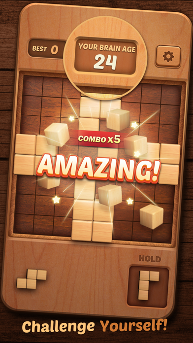 Block Puzzle Wood 3D Screenshot