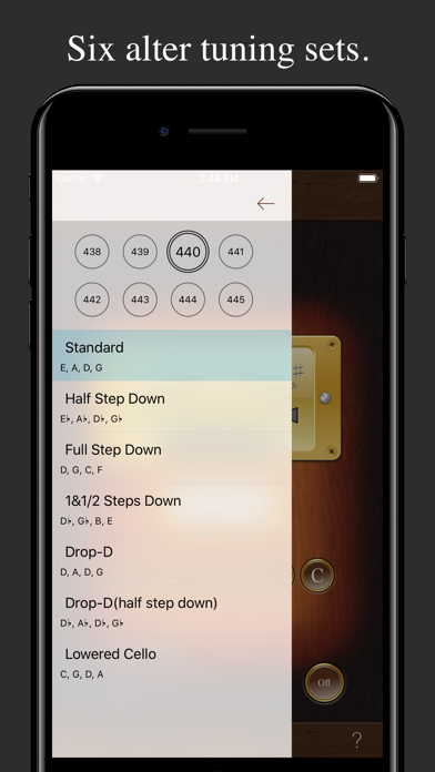 Bass Tuner TN-1B Screenshot
