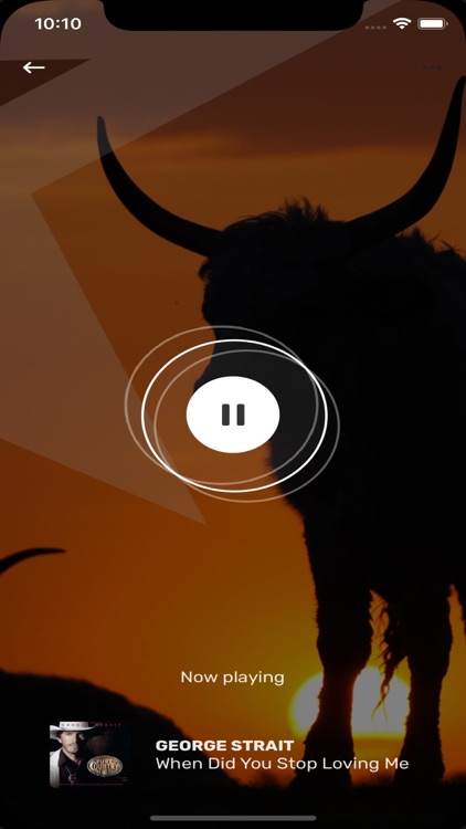 Bull Classic Country