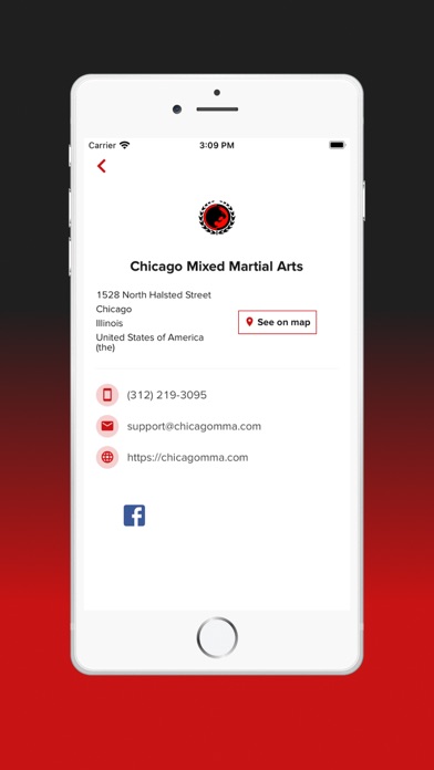 Chicago MMA Screenshot