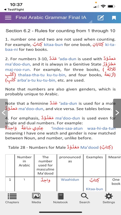Arabic Grammar for Beginners screenshot-4