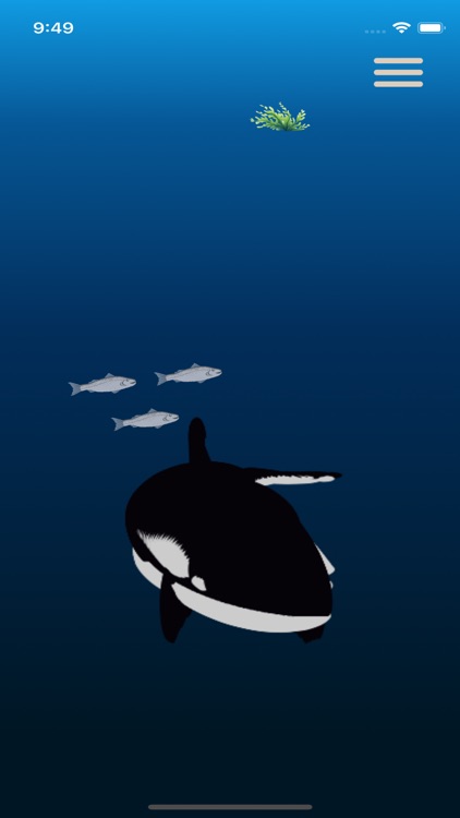 Whale Wiggle screenshot-5
